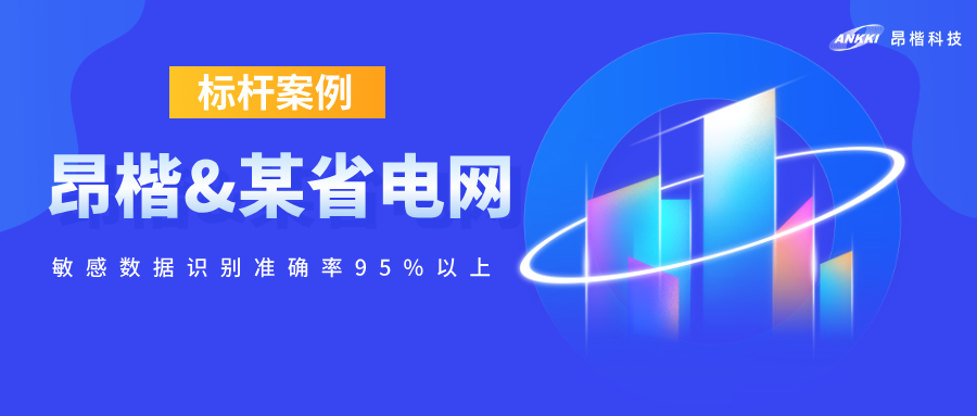 標桿案例  | 敏感數(shù)據(jù)識別準確率95%以上！昂楷攜某省電網(wǎng)破解電力數(shù)據(jù)開放的“既要又要”難題
