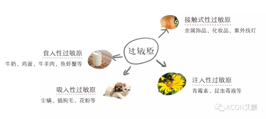 APAAACI 2019 | 深入解讀過(guò)敏原：從診斷到治療，優(yōu)化過(guò)敏原診斷管理——艾康生物過(guò)敏原檢測(cè)分會(huì)