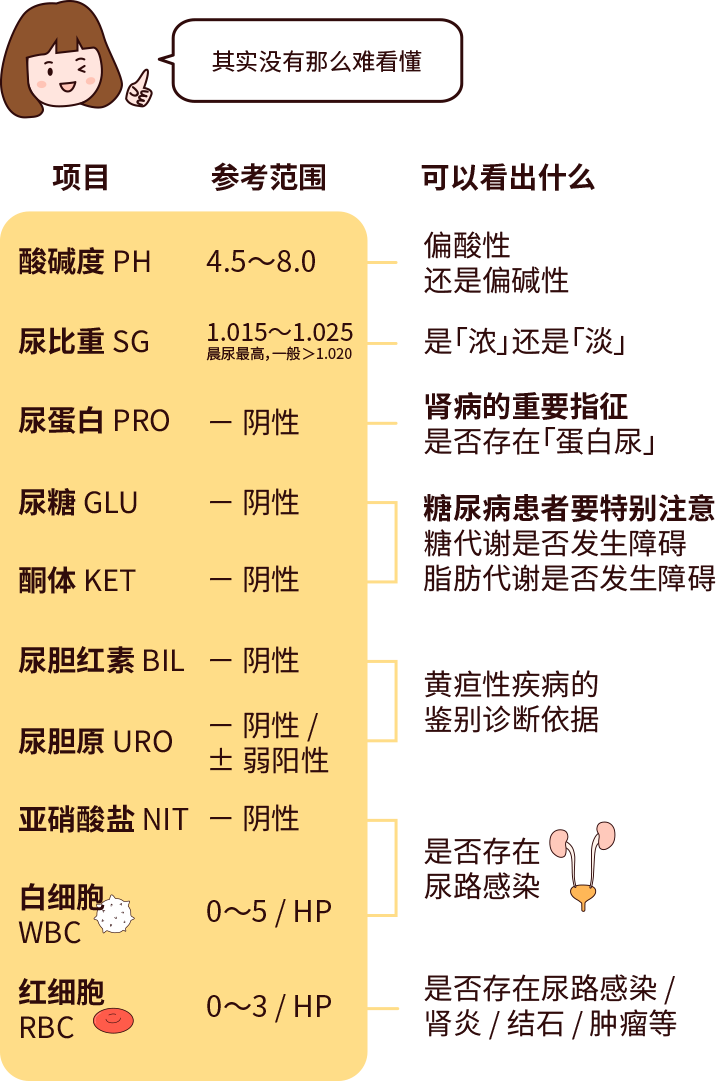 排尿黃、異味大，可能是身體在報警！