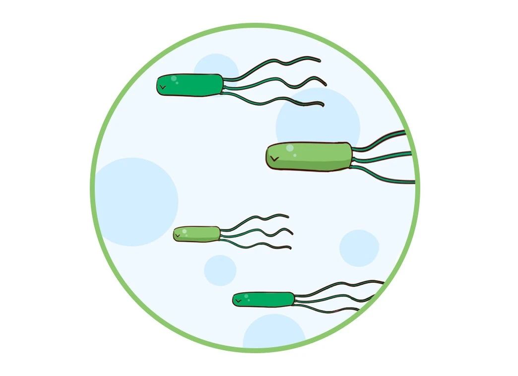 這種致癌物傳染性極強，50%中國人都有！很多人還不知道