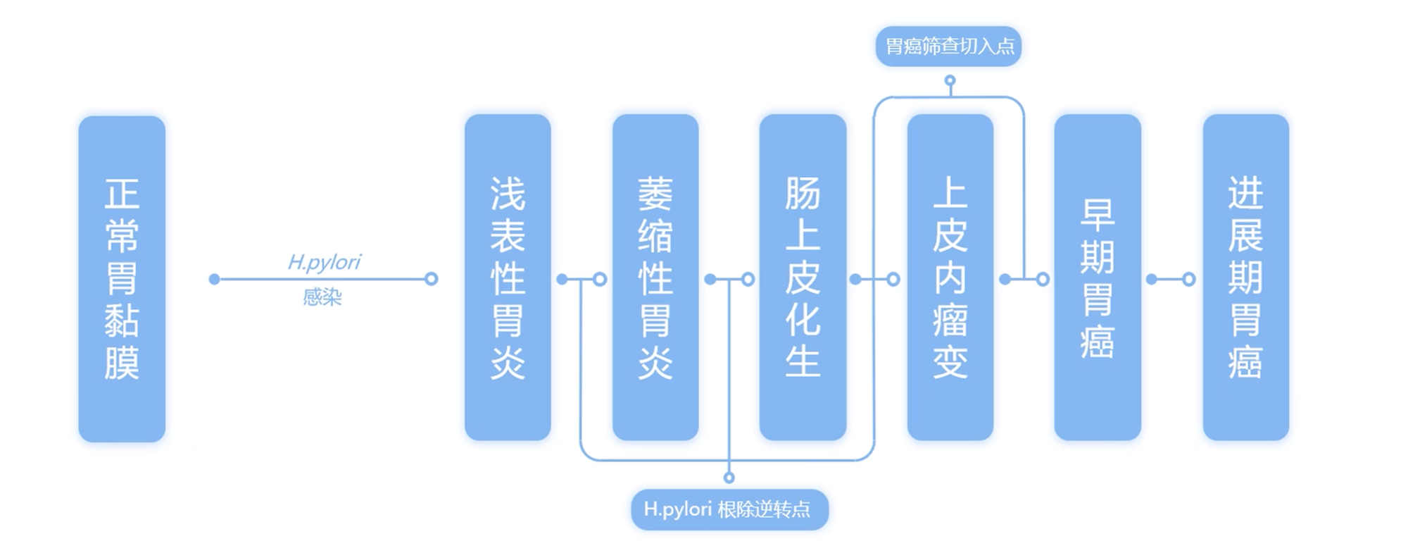 胃癌進展流程.png 胃癌進展流程.png