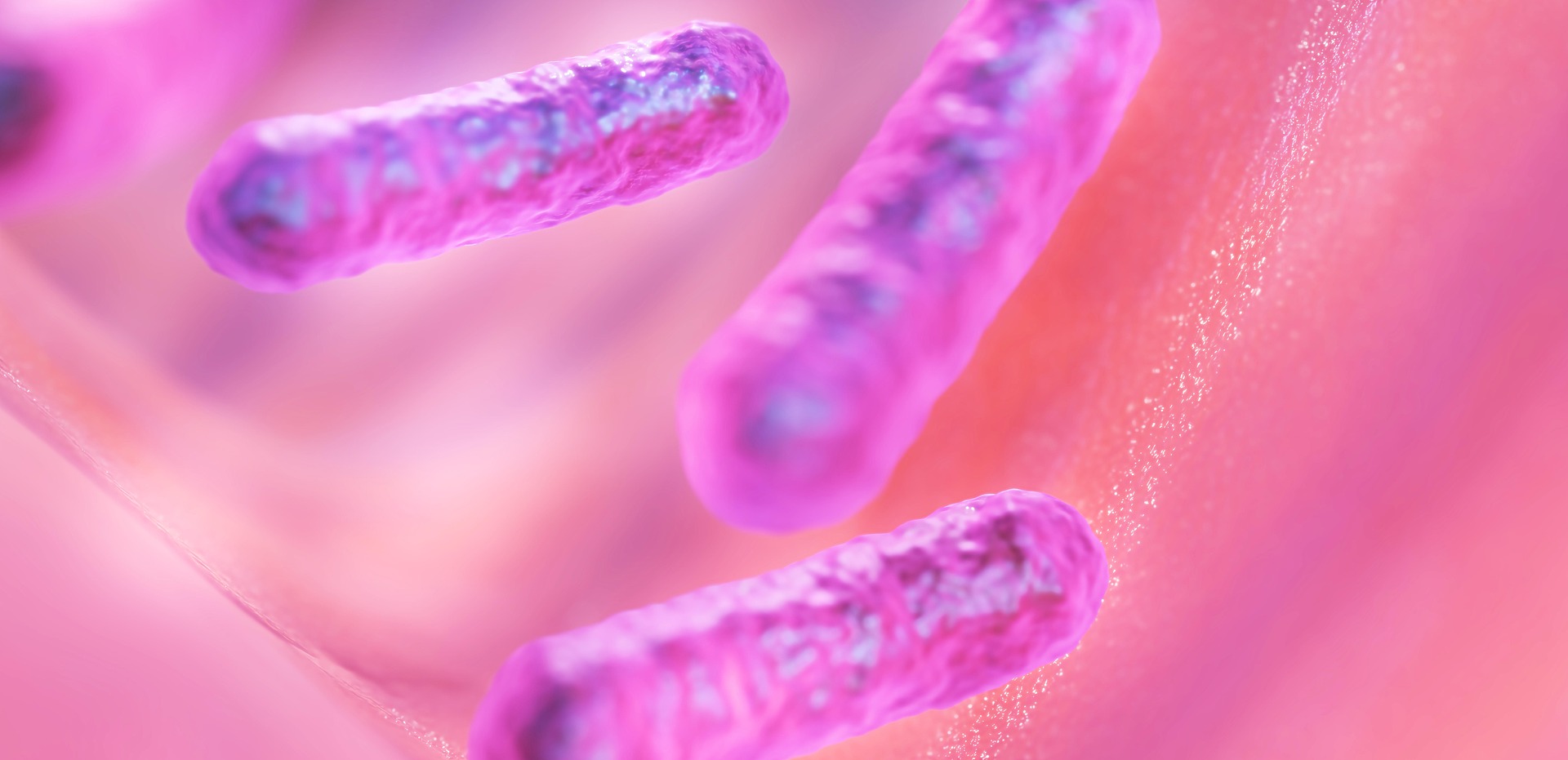imgmidi-bacilli-7135349_1920.jpg imgmidi-bacilli-7135349_1920.jpg