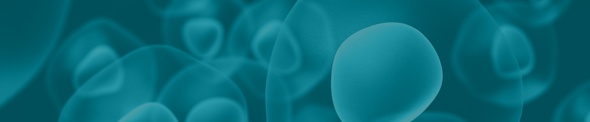 2025官網(wǎng)_欄目頁(yè)banner 03.jpg