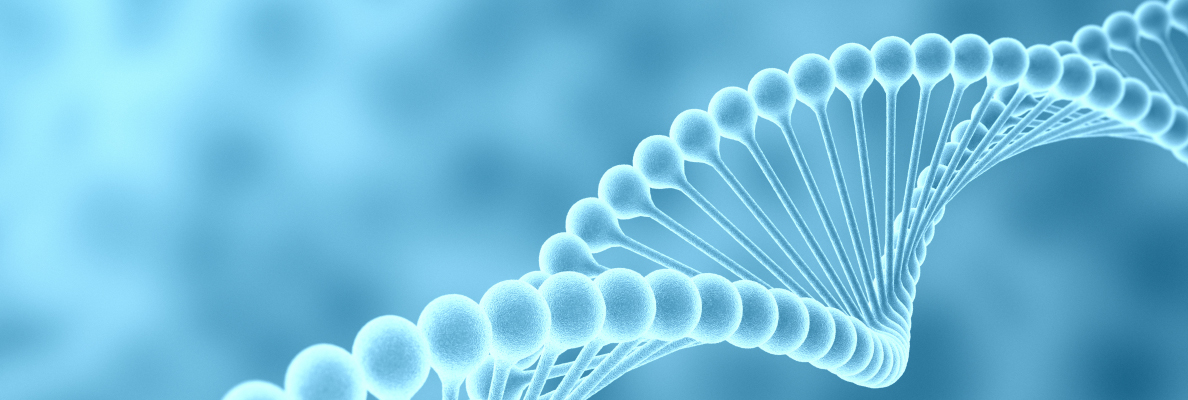 2025官網(wǎng)_欄目頁banner 12.jpg